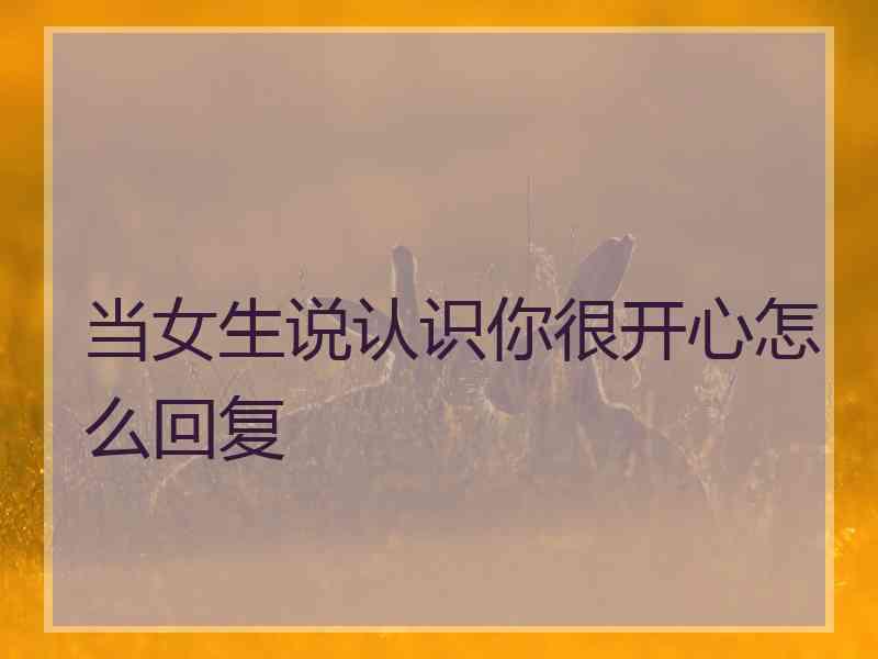 当女生说认识你很开心怎么回复 当女生说认识你很开心怎么回复