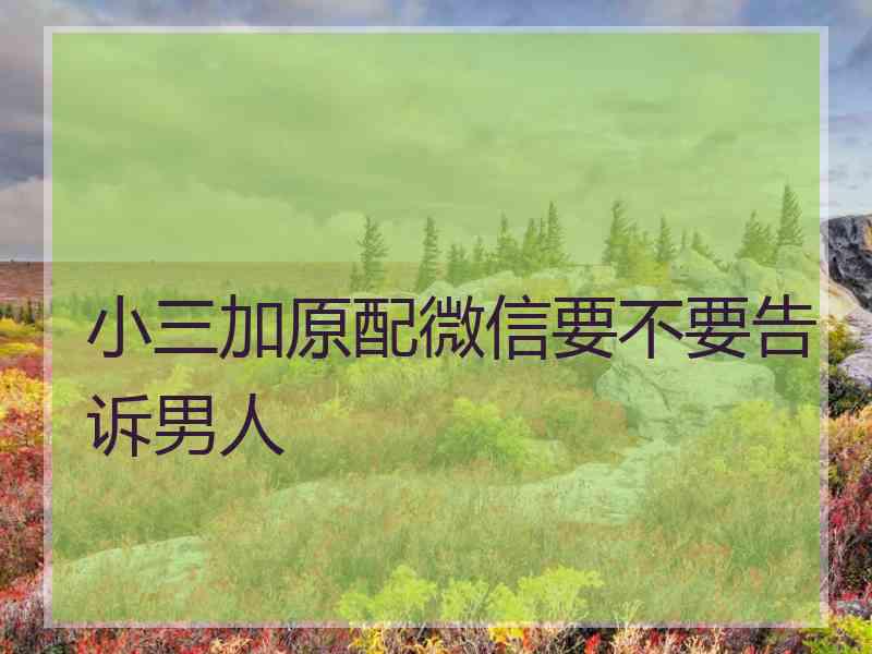 小三加原配微信要不要告诉男人 小三加原配微信要不要告诉男人