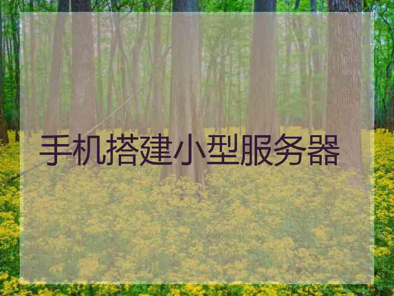 手机搭建小型服务器 手机搭建小型服务器