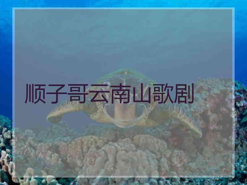 顺子哥云南山歌剧 顺子哥云南山歌剧