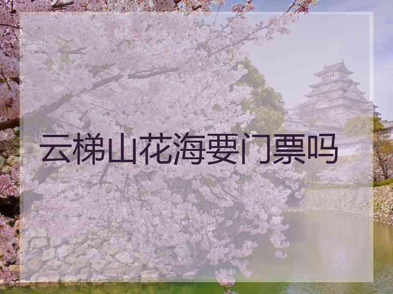 云梯山花海要门票吗 云梯山花海要门票吗