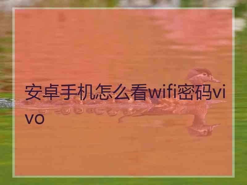 安卓手机怎么看wifi密码vivo 安卓手机怎么看wifi密码vivo