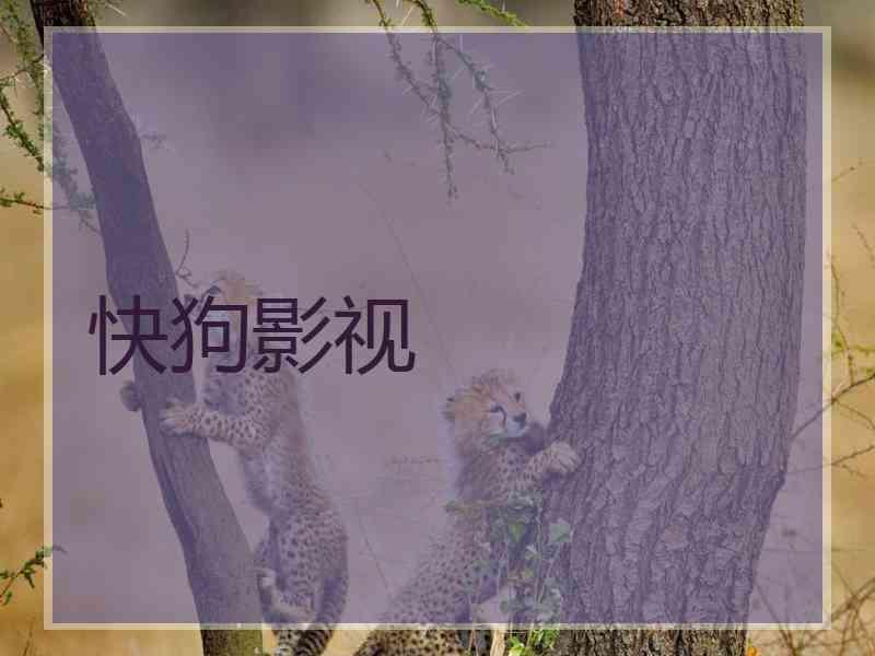 快狗影视 快狗影视