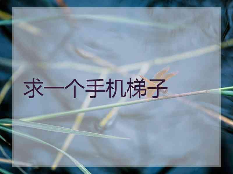 求一个手机梯子 求一个手机梯子