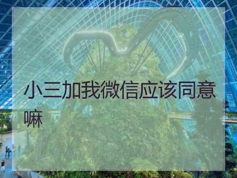 小三加我微信应该同意嘛 小三加我微信应该同意嘛