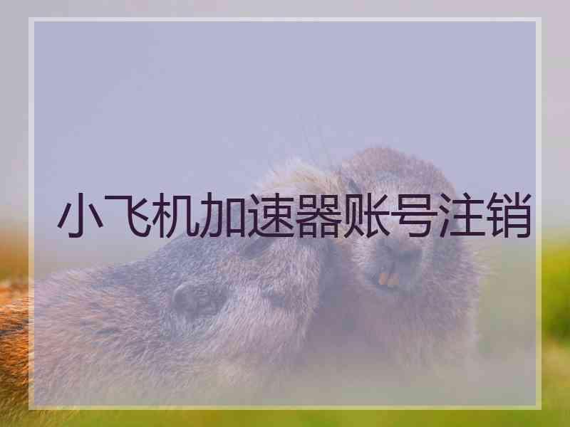 小飞机加速器账号注销 小飞机加速器账号注销