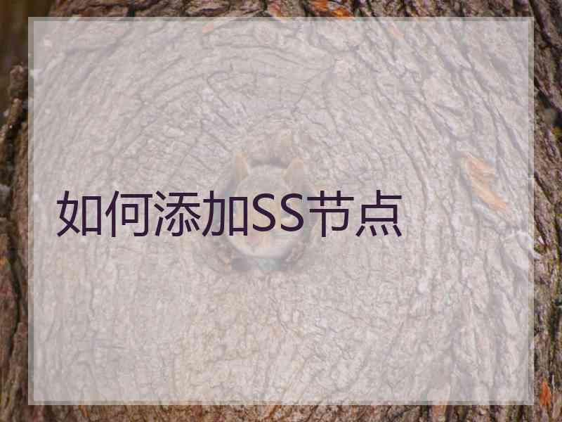 如何添加SS节点 如何添加SS节点