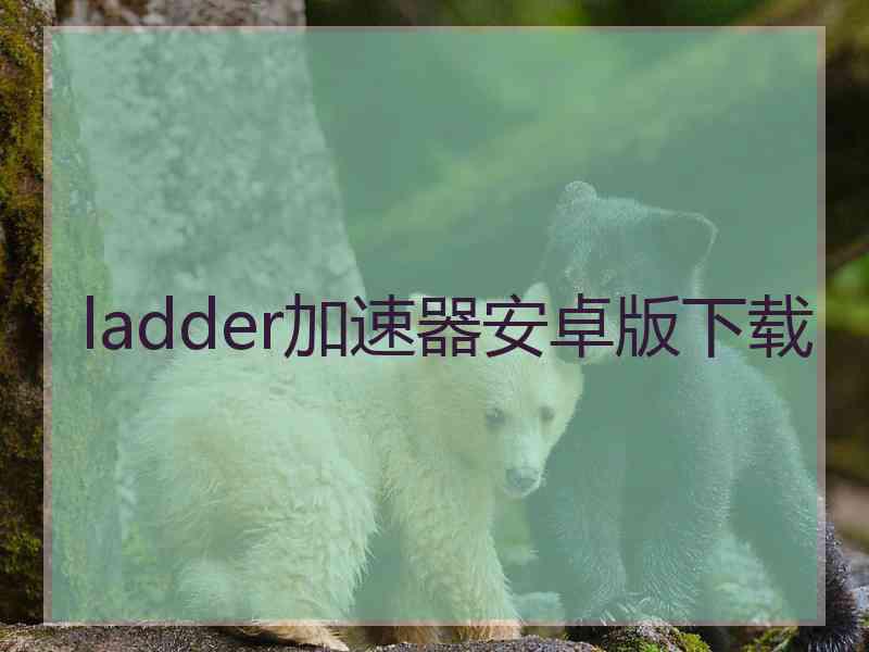 ladder加速器安卓版下载 ladder加速器安卓版下载