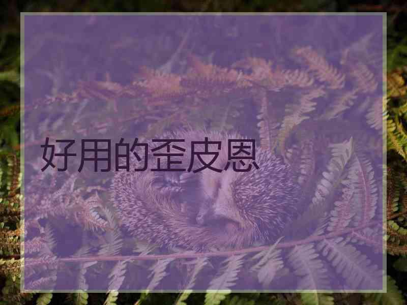 好用的歪皮恩