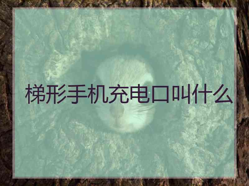 梯形手机充电口叫什么