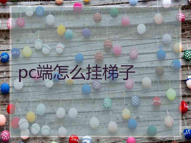 pc端怎么挂梯子