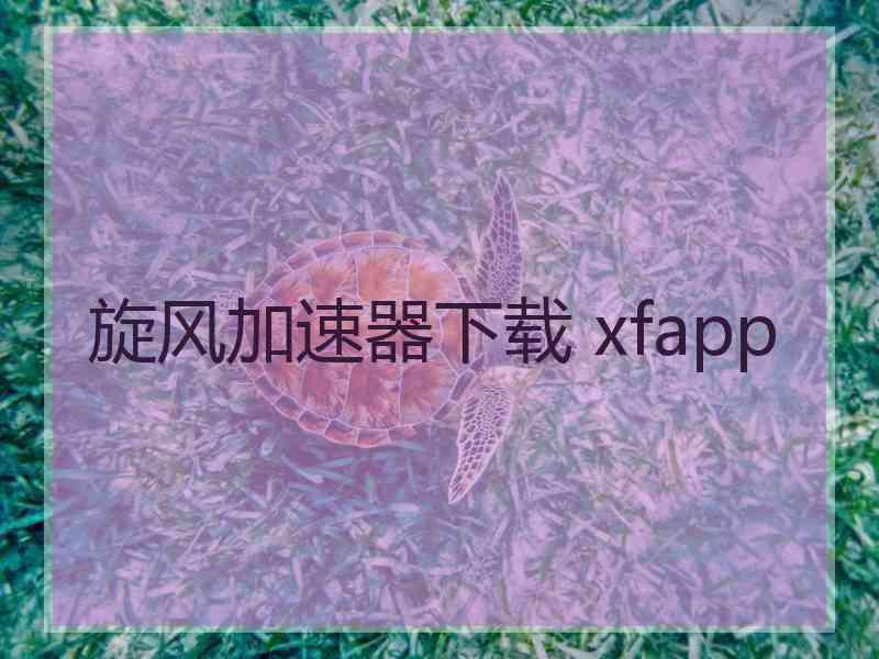 旋风加速器下载 xfapp