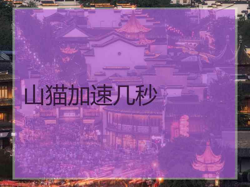 山猫加速几秒