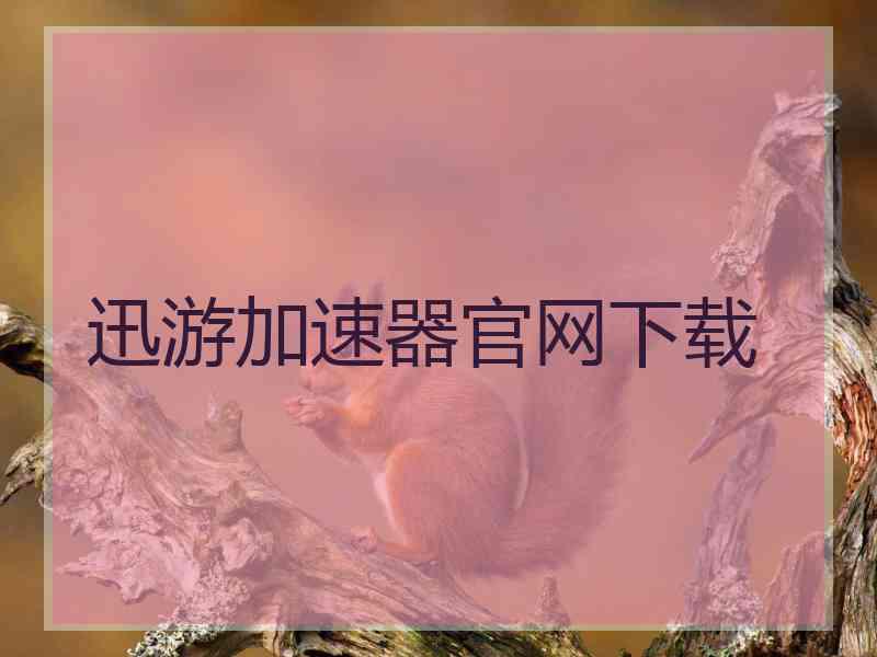 迅游加速器官网下载