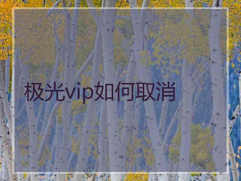极光vip如何取消