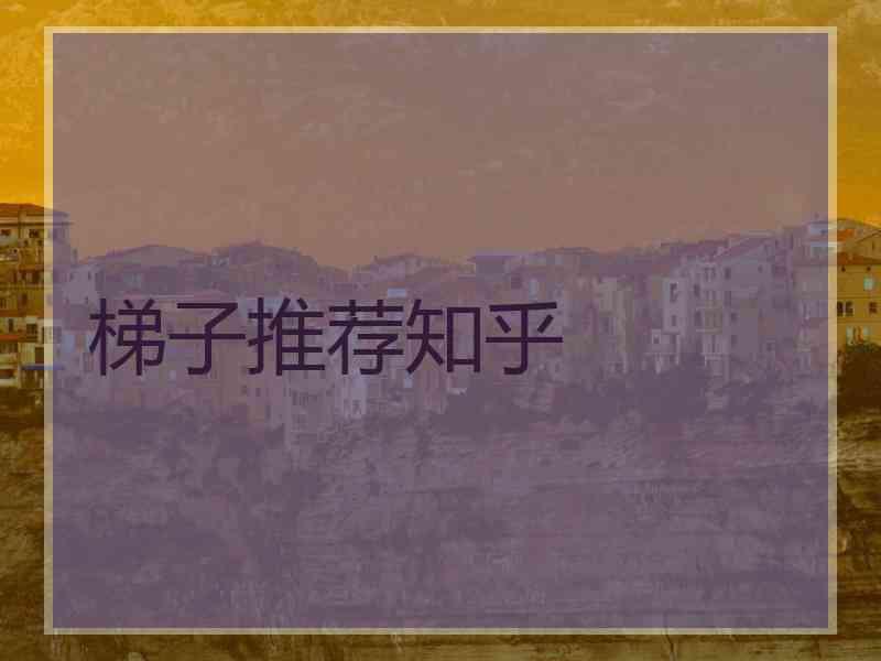 梯子推荐知乎