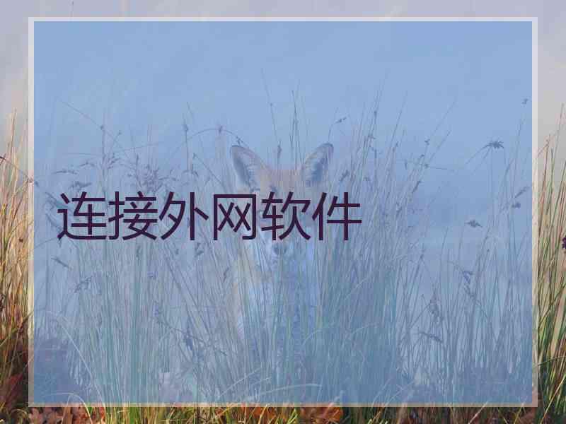 连接外网软件