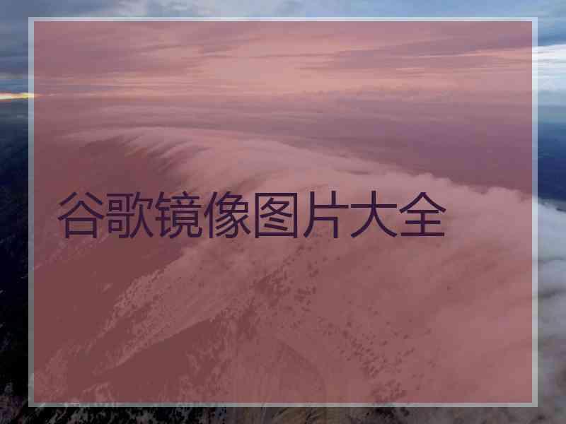 谷歌镜像图片大全