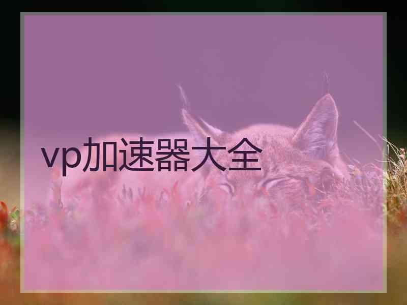 vp加速器大全