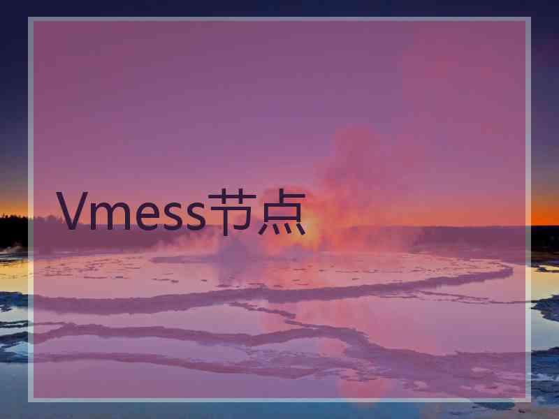 Vmess节点