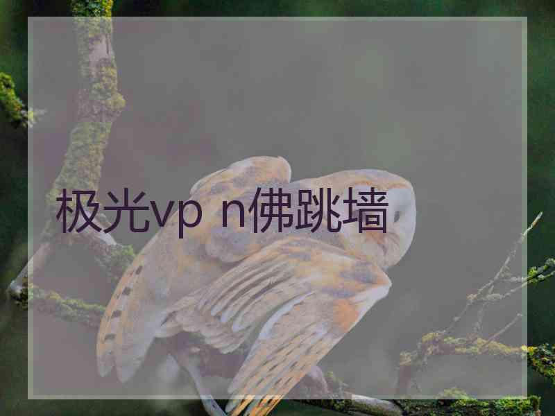 极光vp n佛跳墙