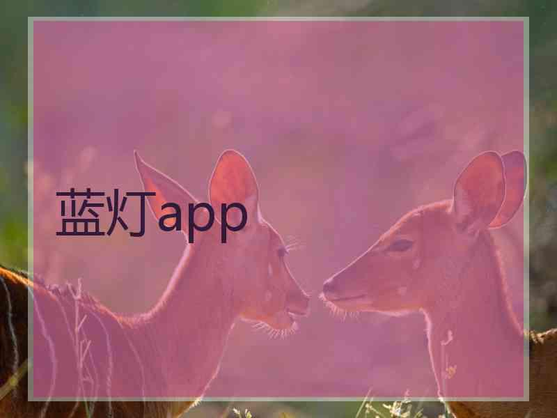 蓝灯app
