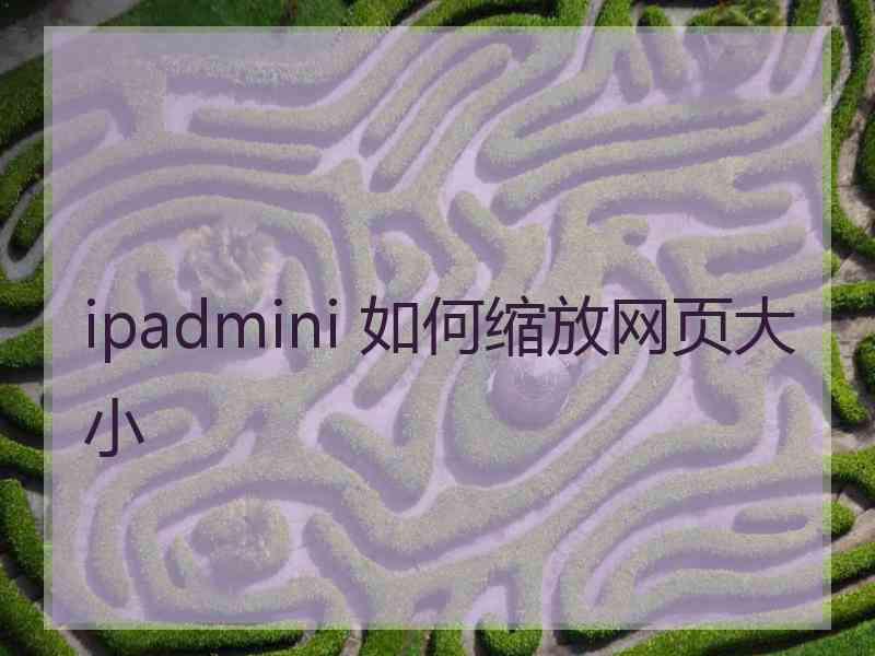 ipadmini 如何缩放网页大小