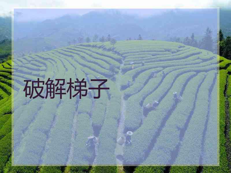 破解梯子