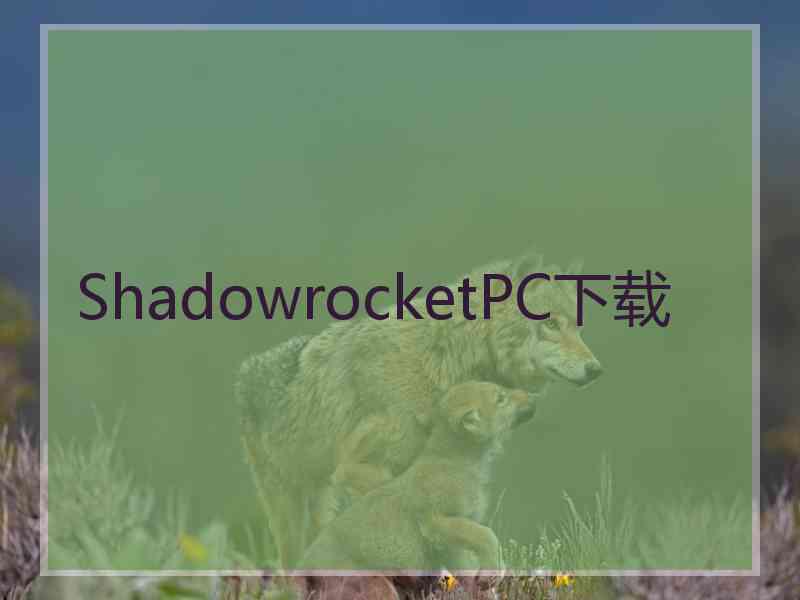 ShadowrocketPC下载
