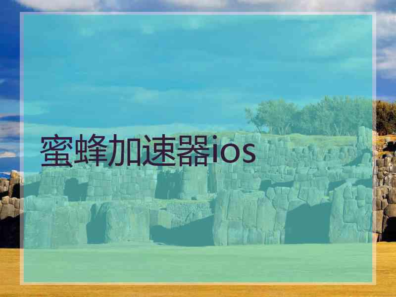 蜜蜂加速器ios