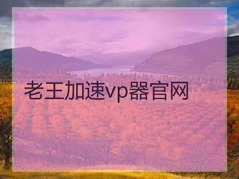 老王加速vp器官网