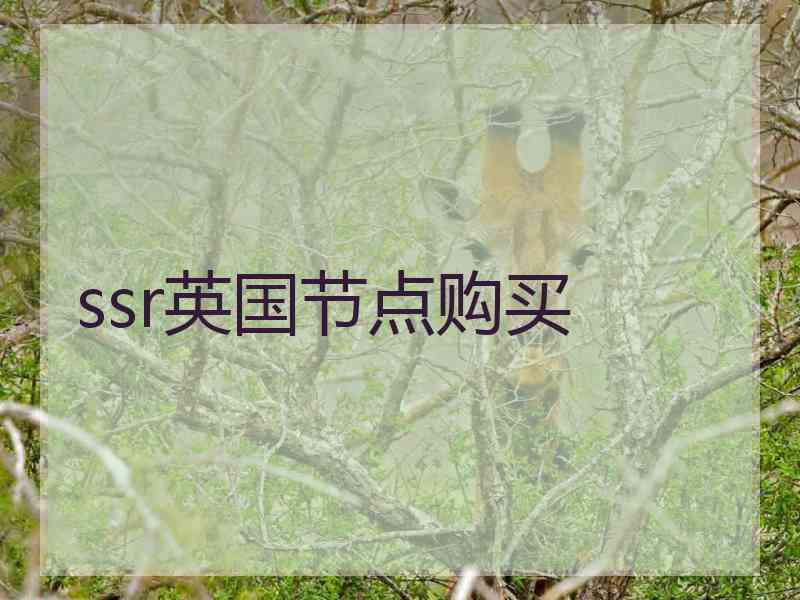 ssr英国节点购买