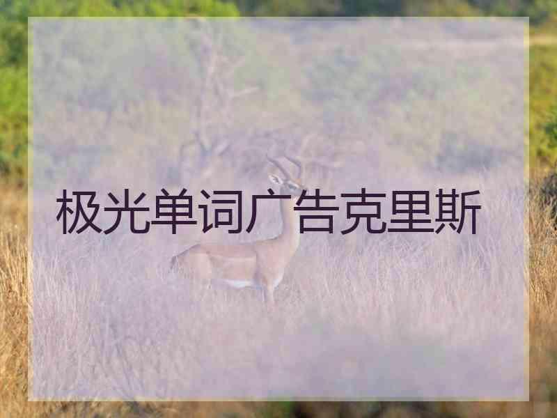 极光单词广告克里斯