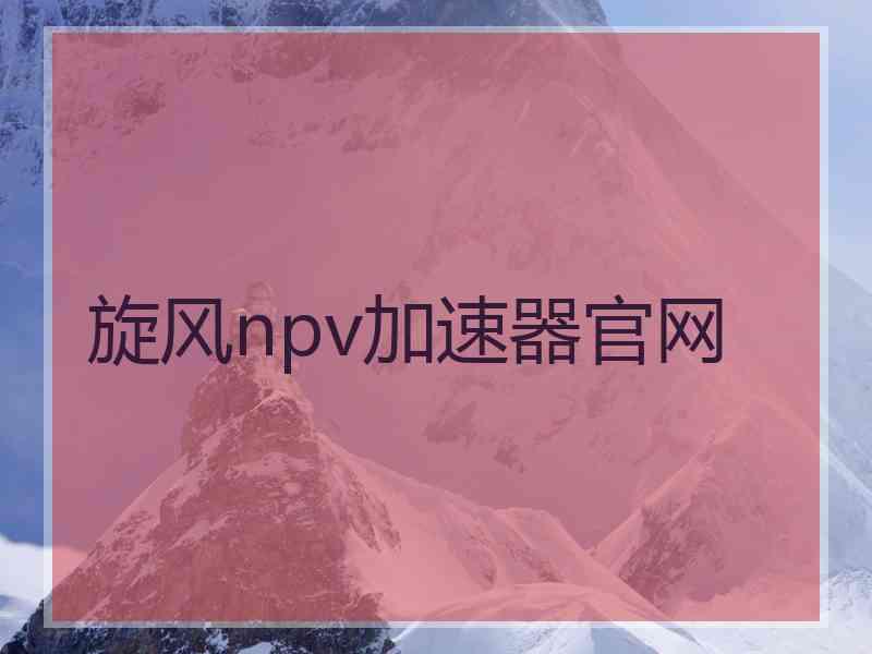 旋风npv加速器官网