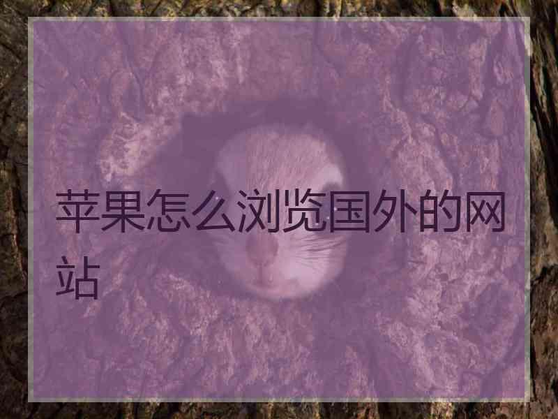 苹果怎么浏览国外的网站