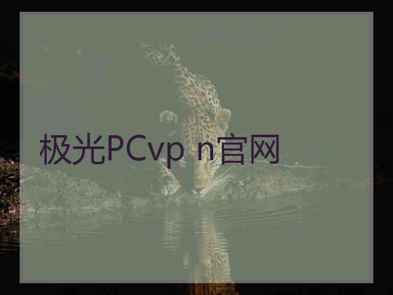 极光PCvp n官网