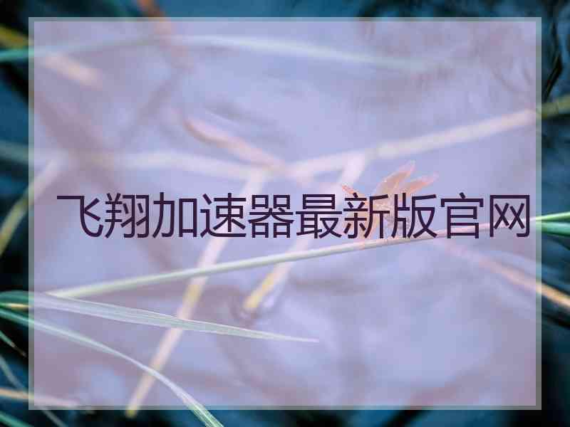 飞翔加速器最新版官网