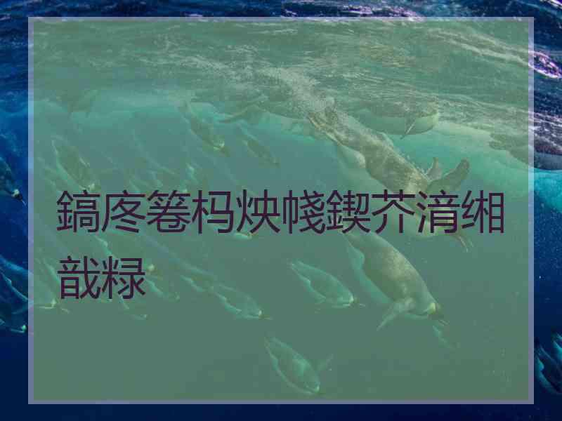 鎬庝箞杩炴帴鍥芥湇缃戠粶