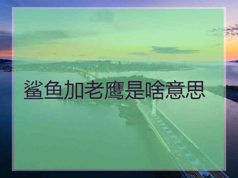 鲨鱼加老鹰是啥意思
