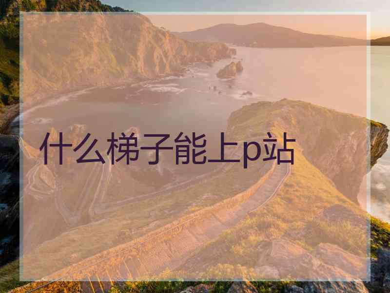 什么梯子能上p站