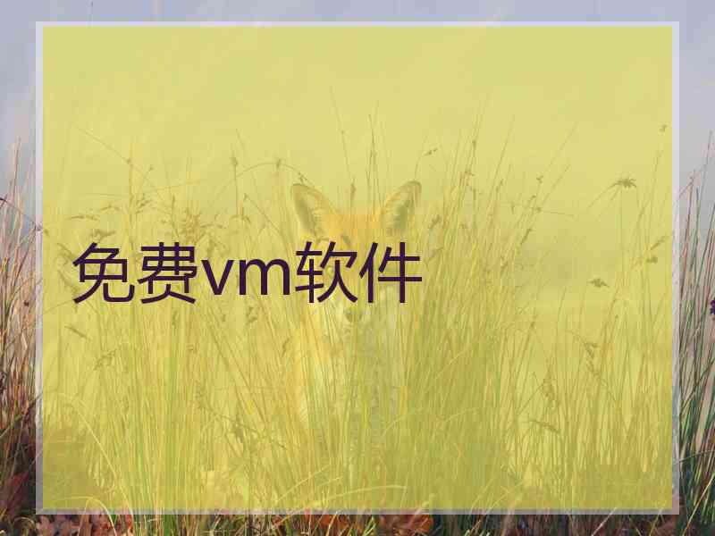 免费vm软件