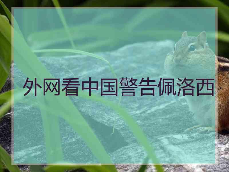 外网看中国警告佩洛西