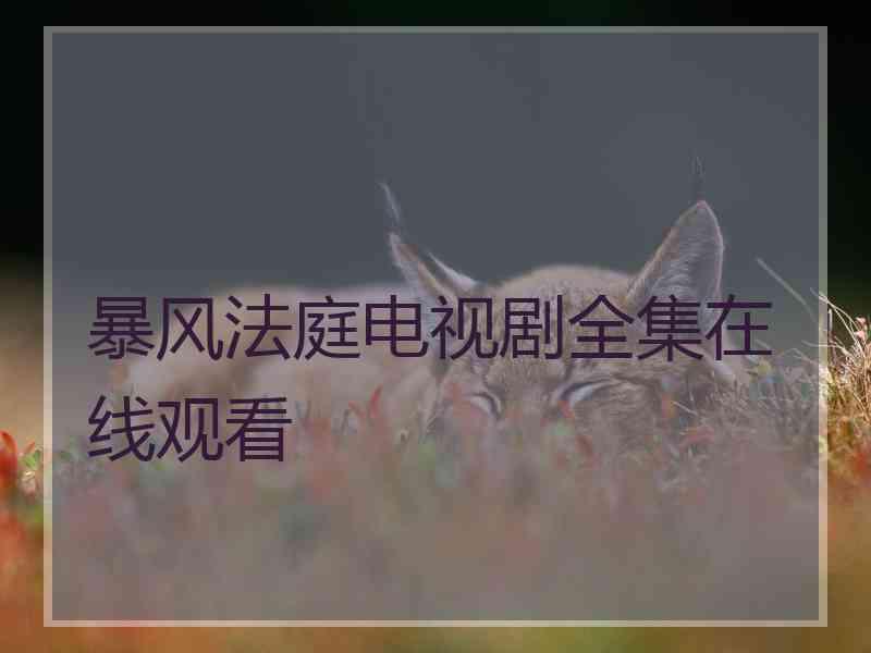 暴风法庭电视剧全集在线观看
