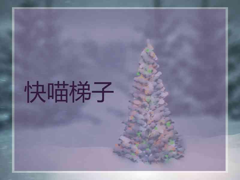 快喵梯子