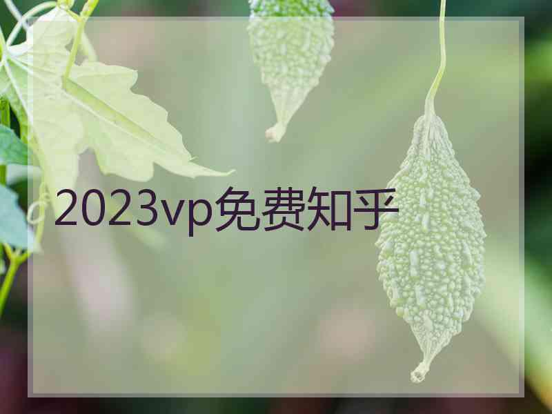 2023vp免费知乎