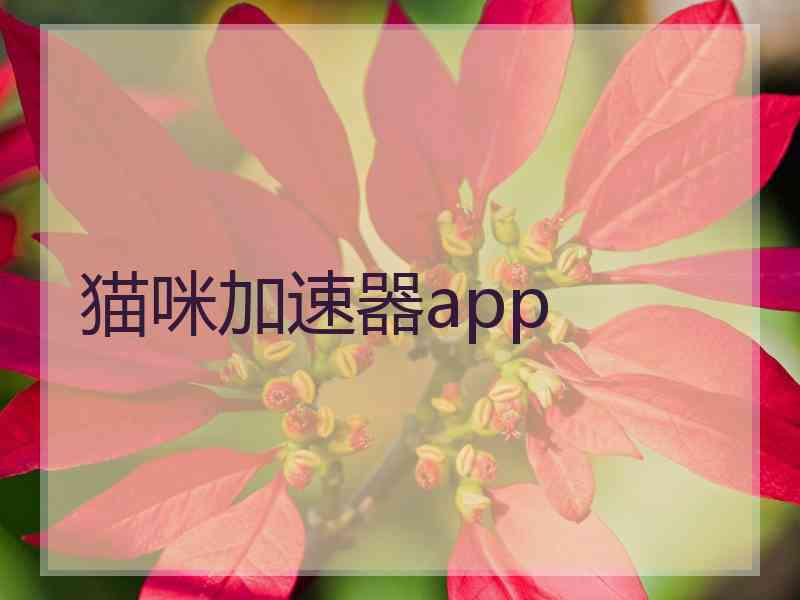 猫咪加速器app
