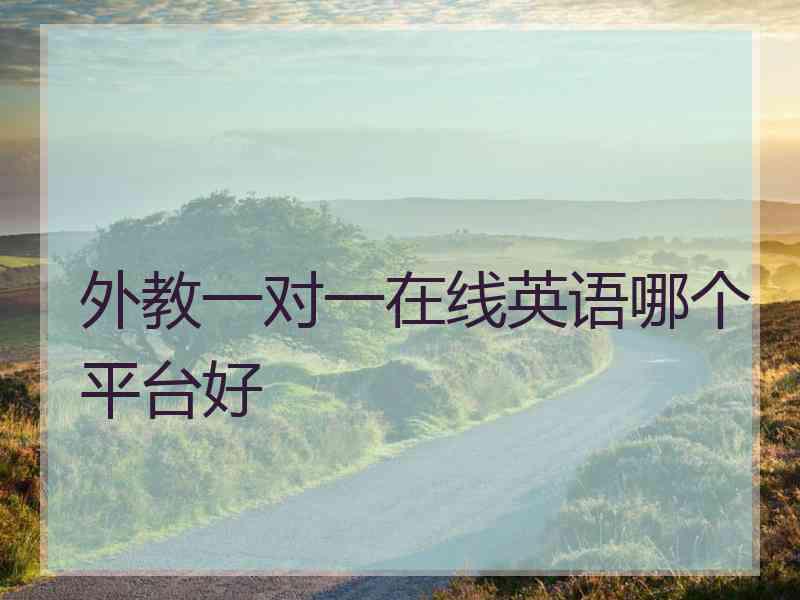 外教一对一在线英语哪个平台好