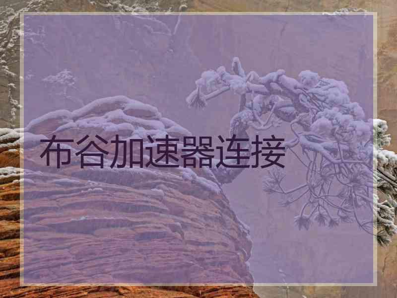 布谷加速器连接