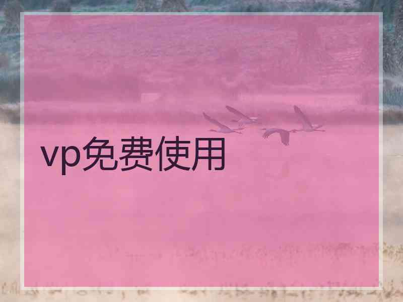 vp免费使用