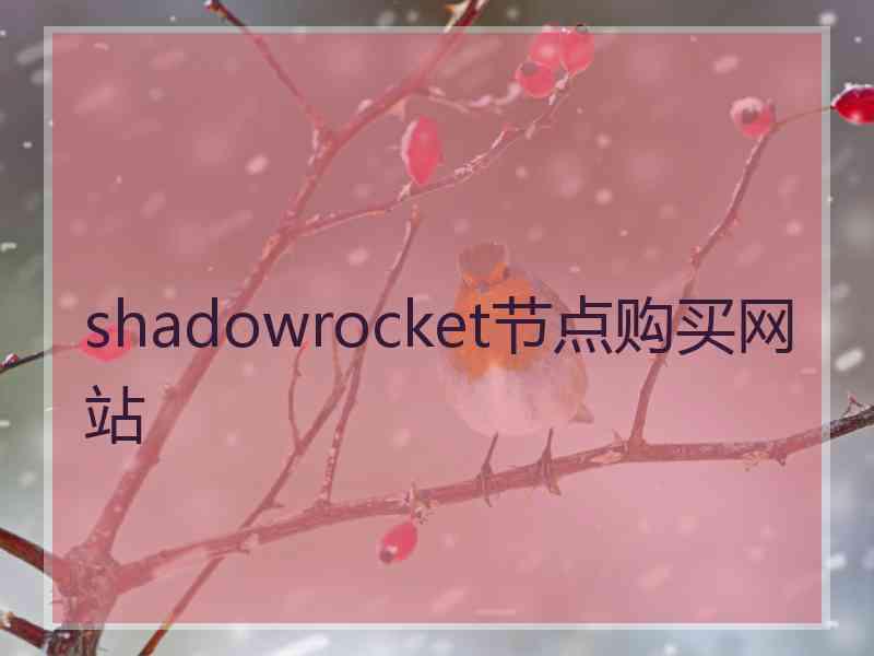shadowrocket节点购买网站